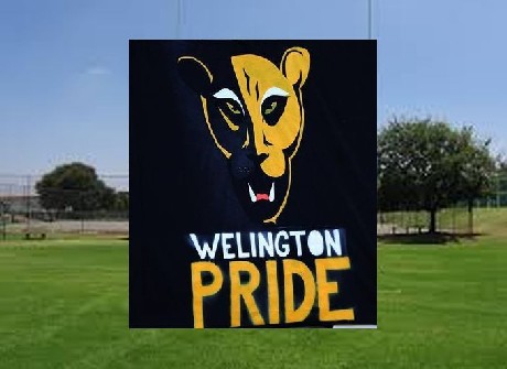 New coach for Wellington Pride side